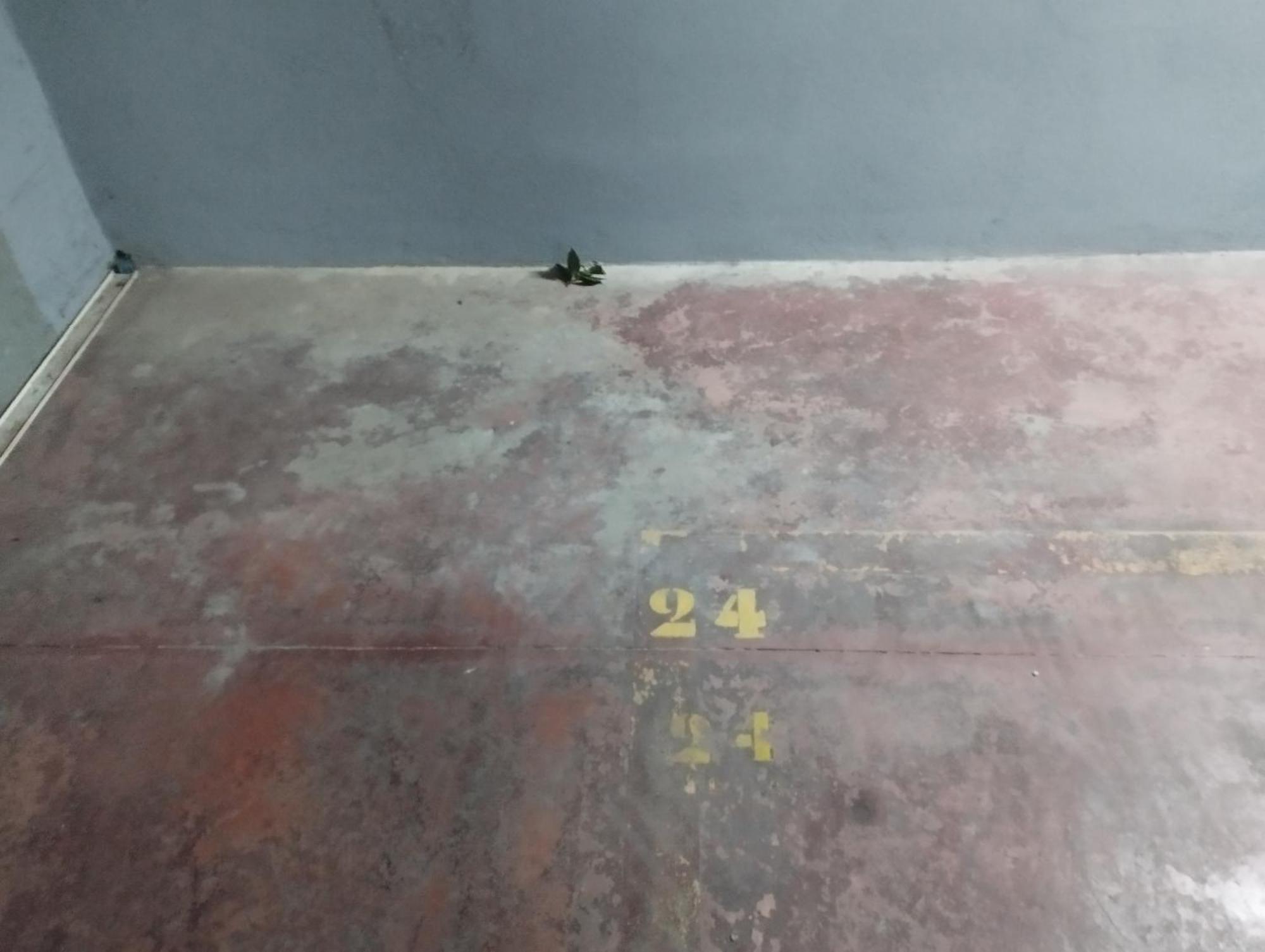 Cd-estudio, Estudio A Estrenar Acogedor Y Funcional, Centrico, Barrio Tranquilo Appartement